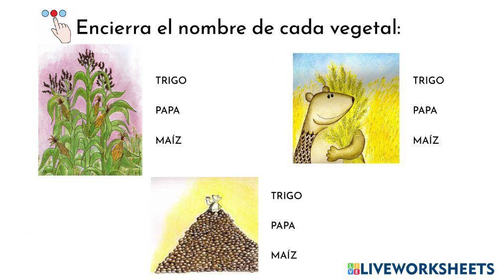 Julieta, ¿qué plantaste?. trabajamos con el cuento.