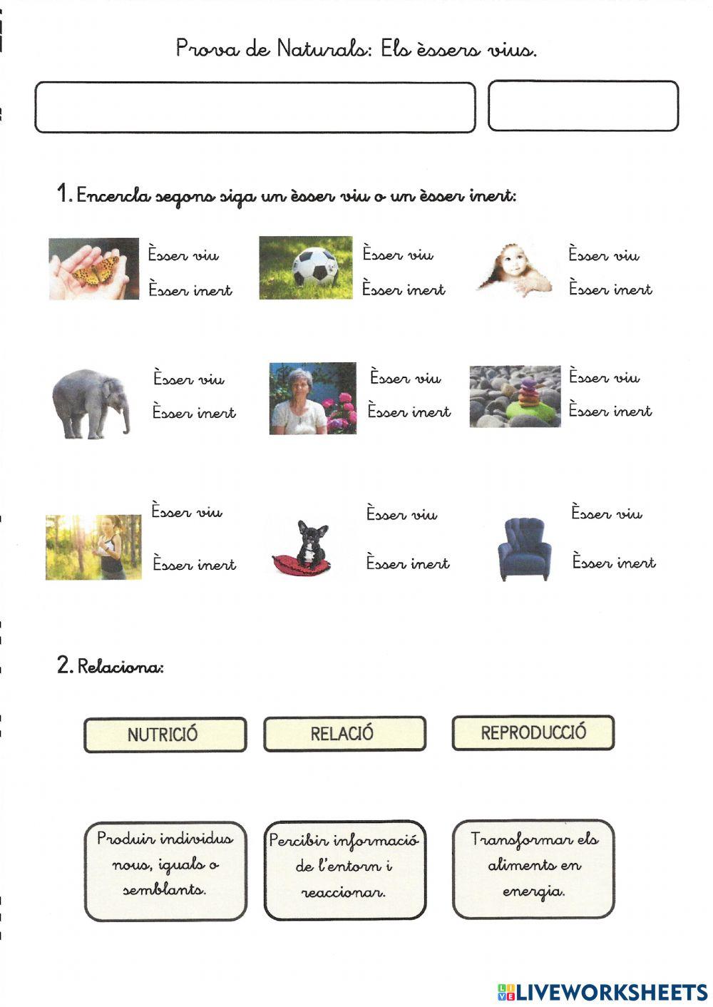 Prova naturals: els èssers vius