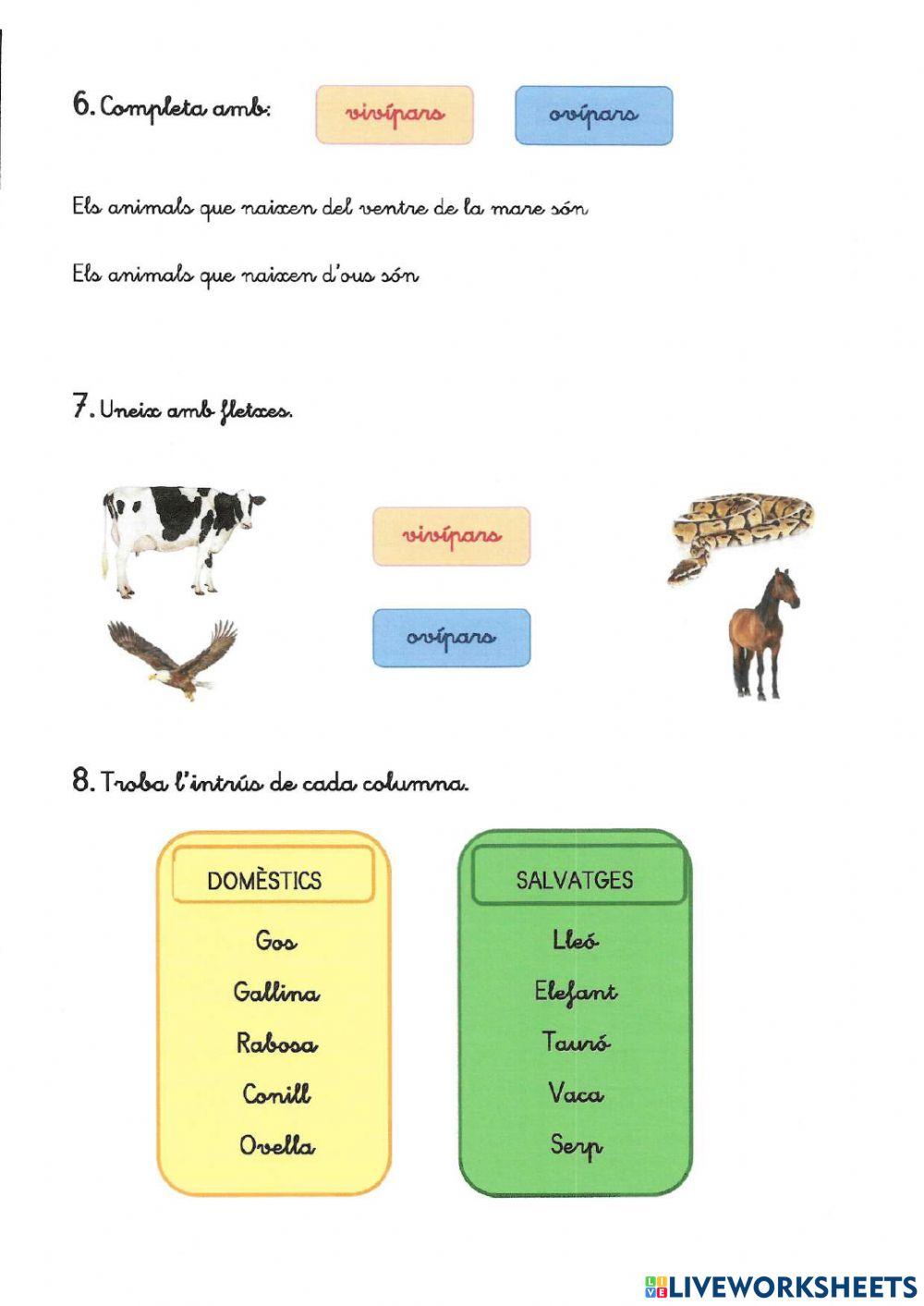 Prova naturals: els èssers vius