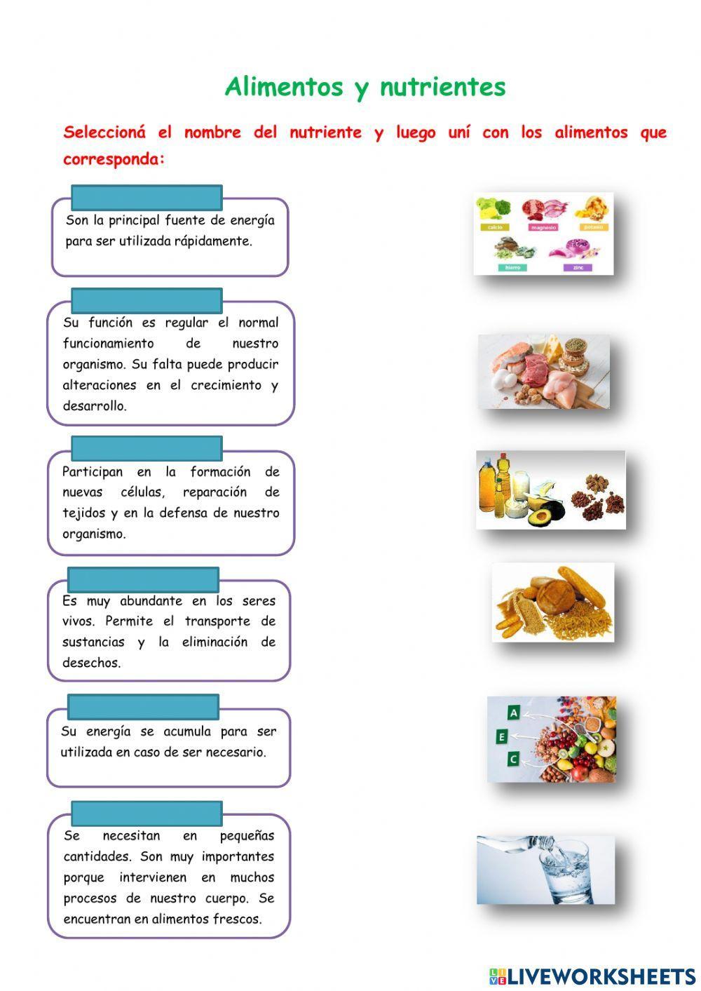 Alimentos y nutrientes