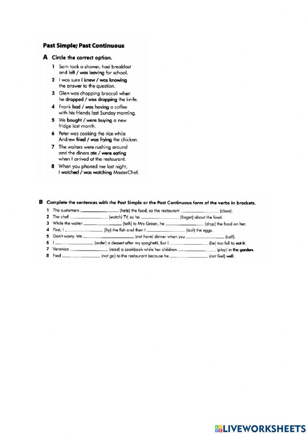 Past simple and past continuous