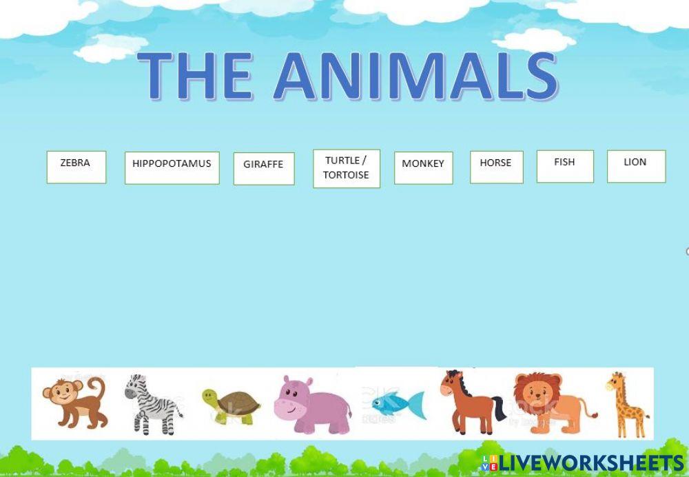 The animals in english
