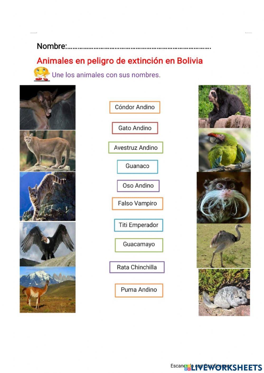 Animales en Extinción de Bolivia