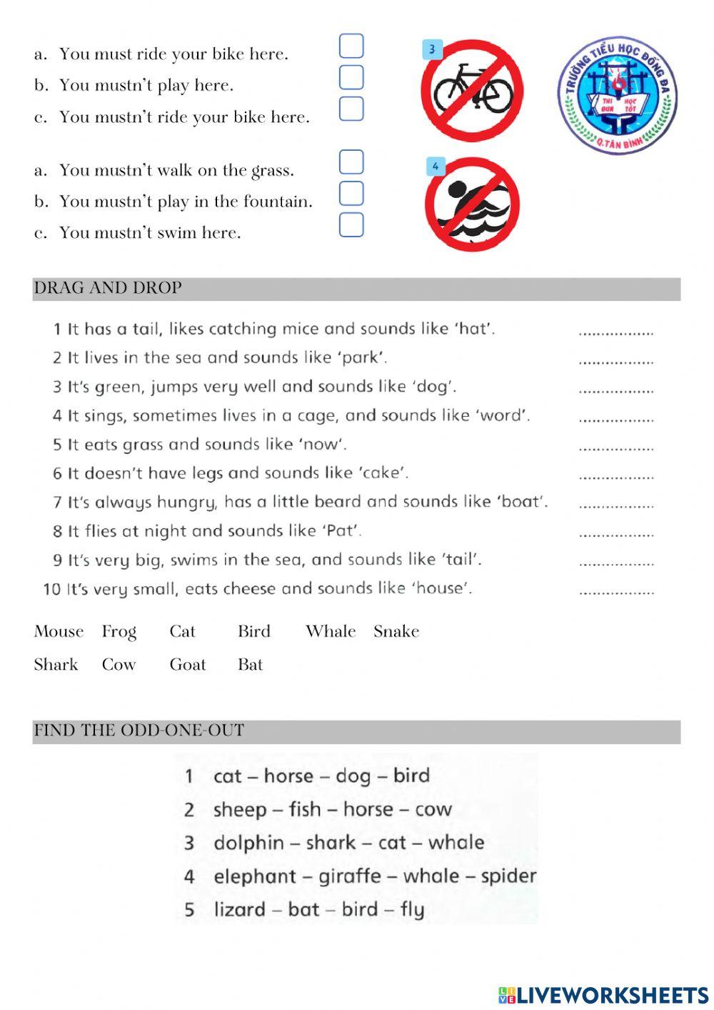 Family and Friends Grade 4 Review 2