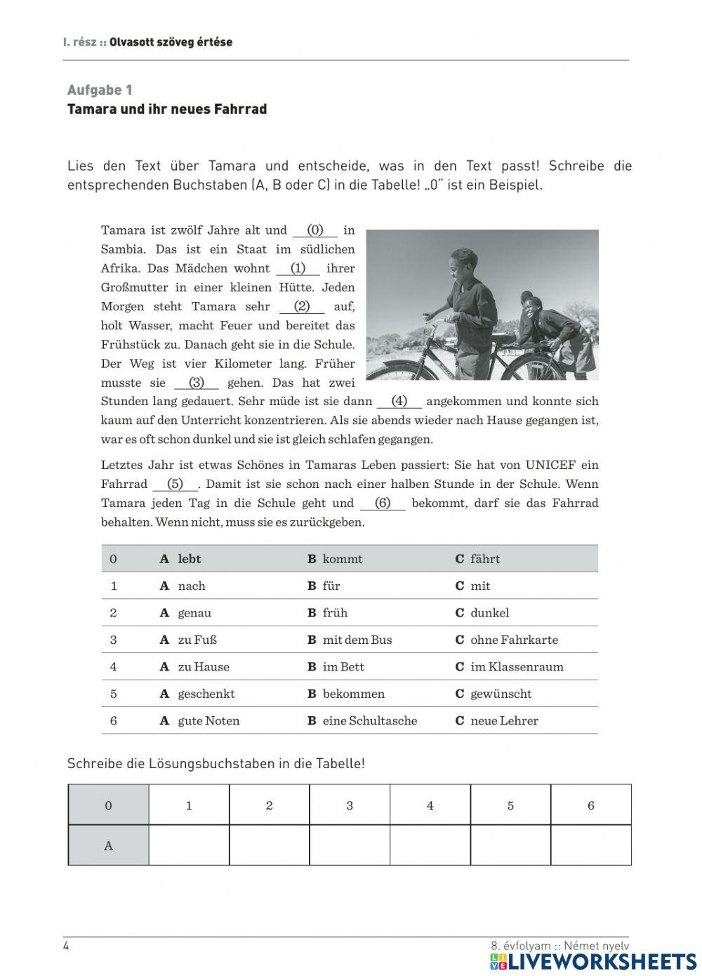 2017 Kompetenciamérés 8. német