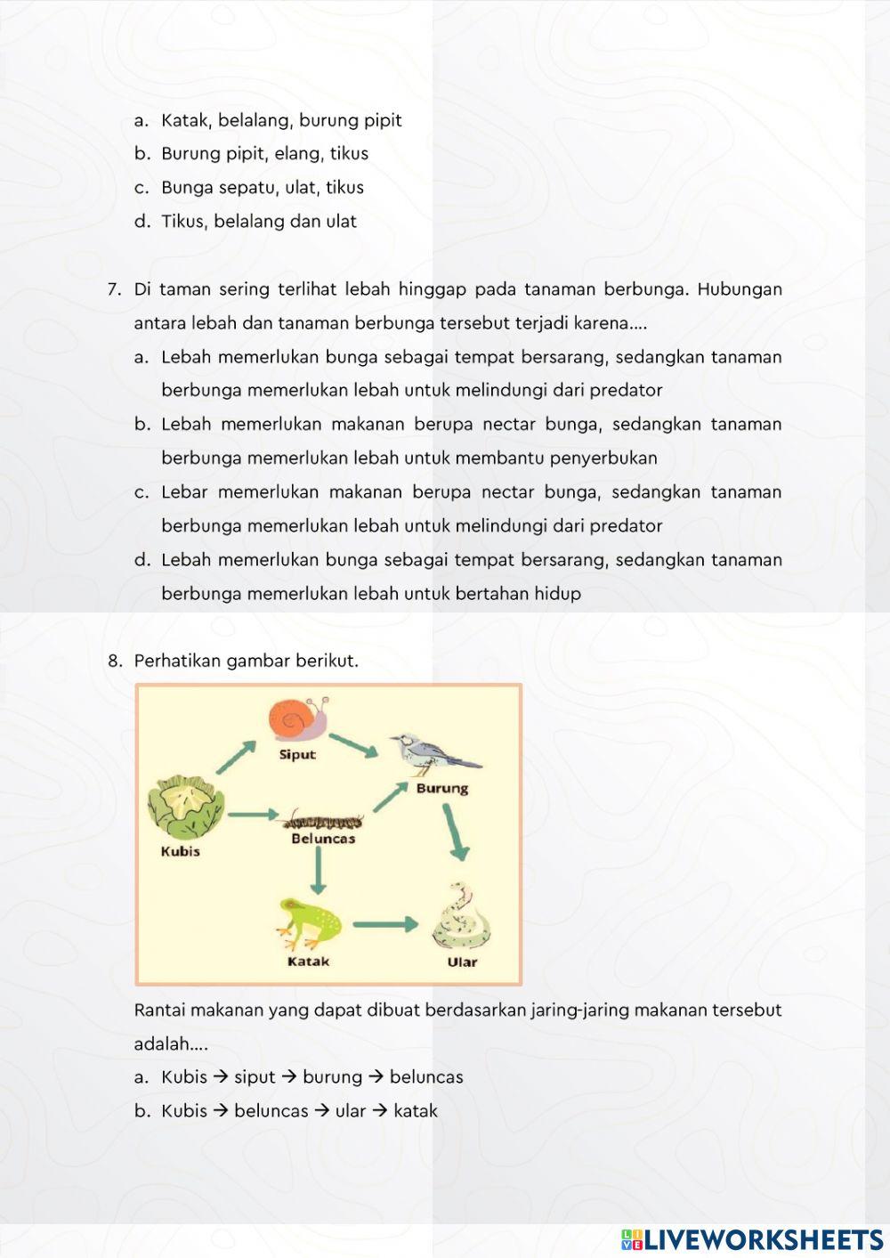 Evaluasi Interaksi Makhluk Hidup