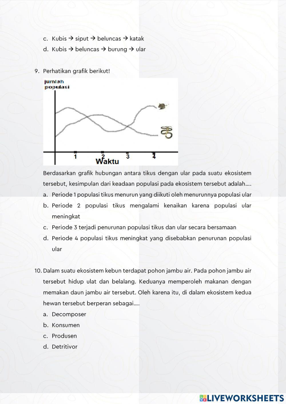 Evaluasi Interaksi Makhluk Hidup