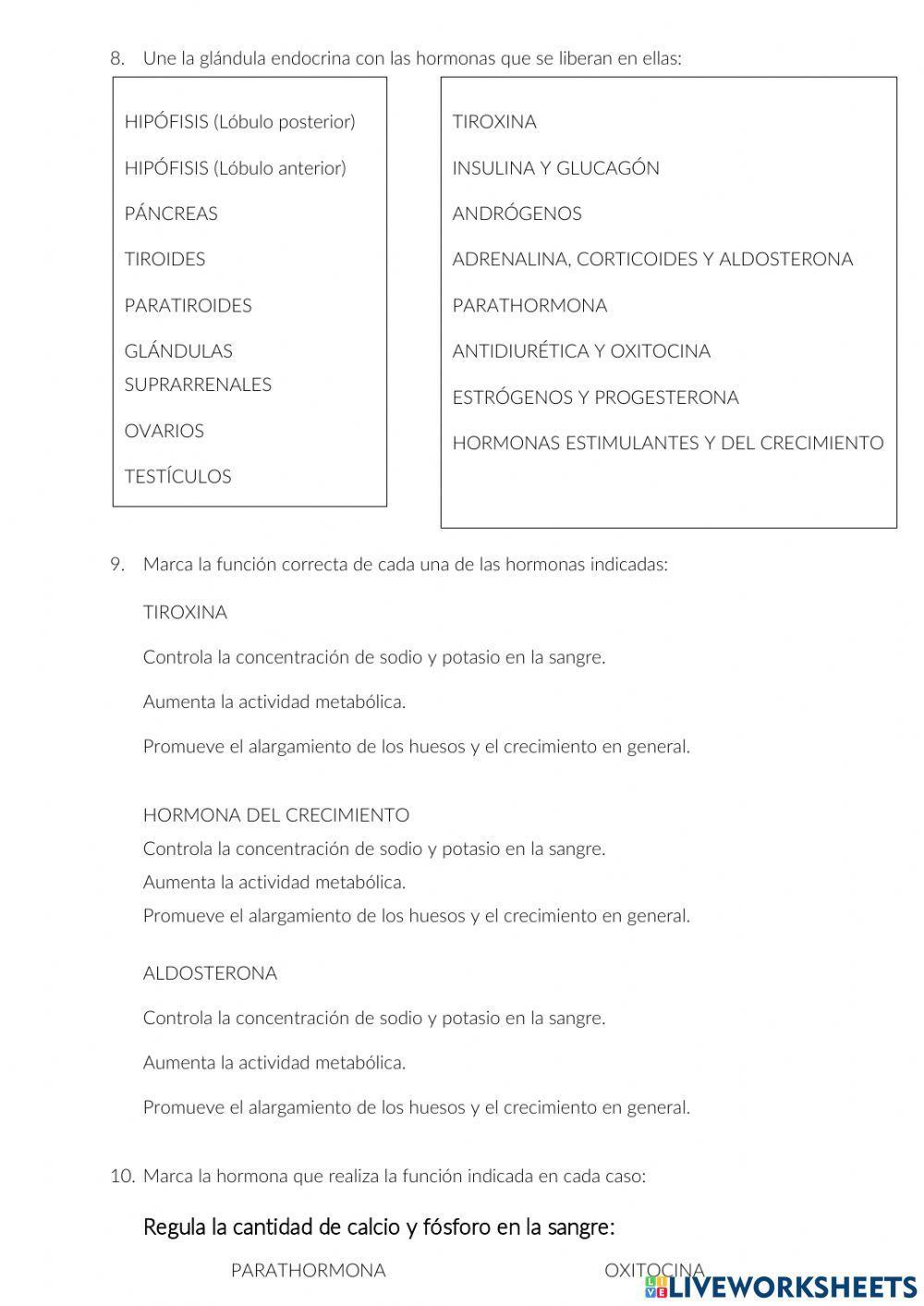 Función de relación: sistema endocrino