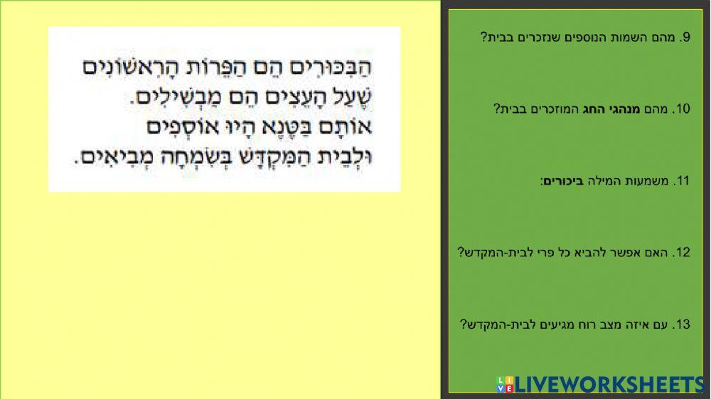 שבועות - שיר של חגית פרקל- אמסטרדם