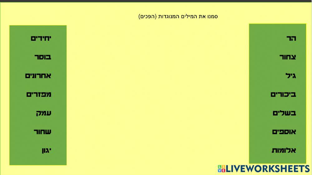 שבועות - שיר של חגית פרקל- אמסטרדם