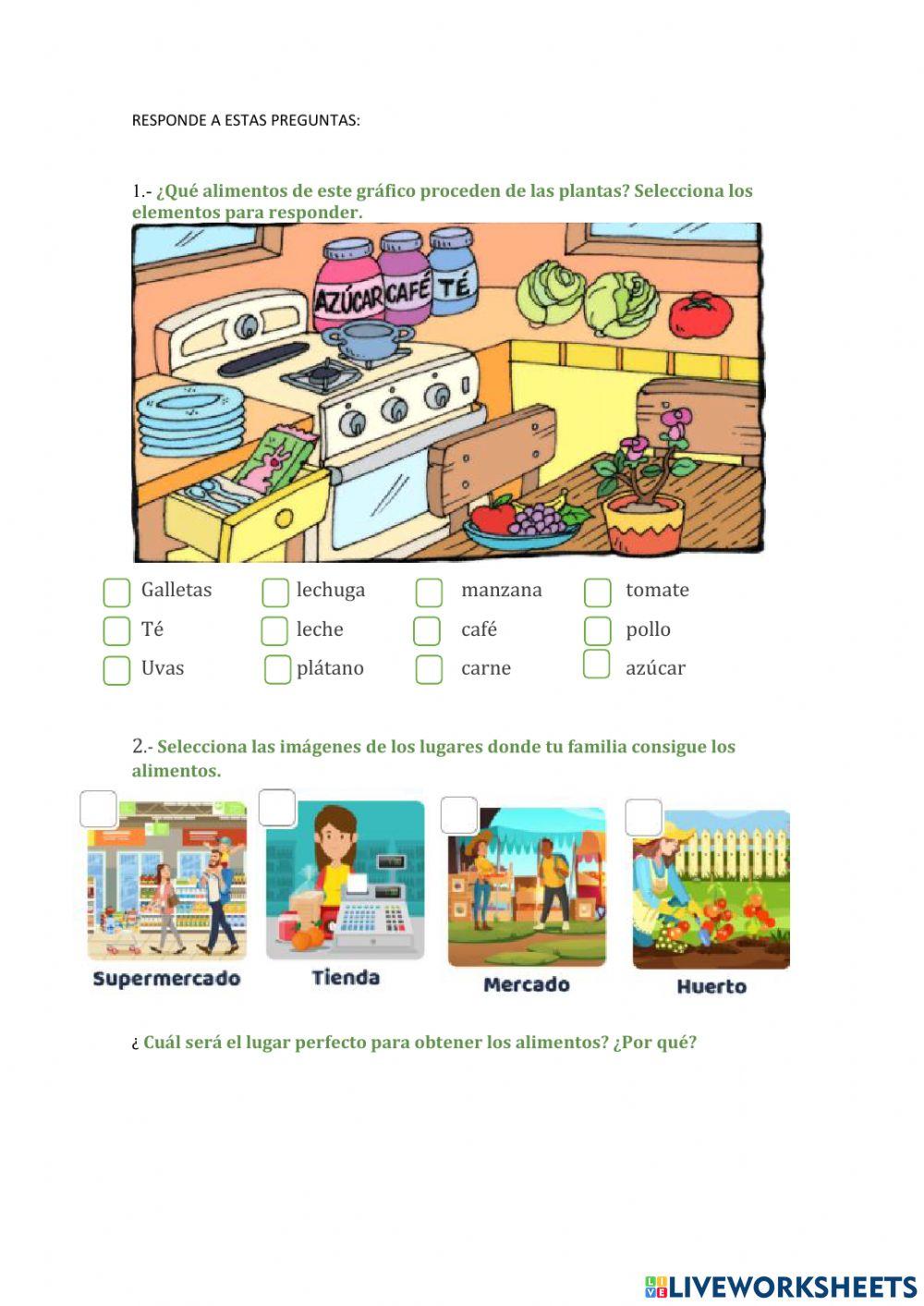 Clasificación de las plantas