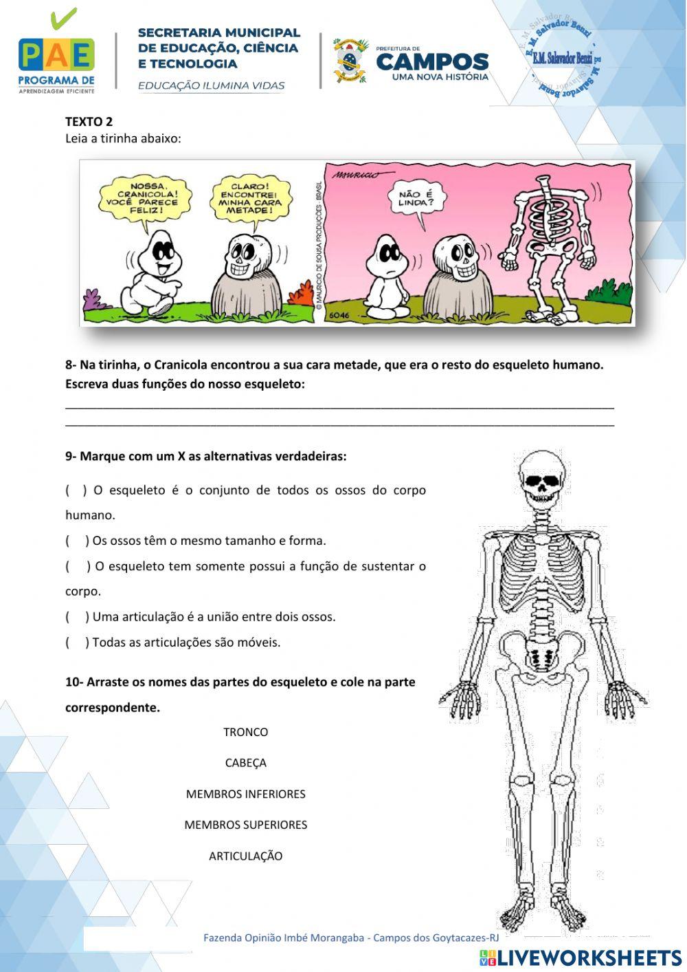 Cadeia Alimentar, Funções do Esqueleto e Partes do corpo Humano.