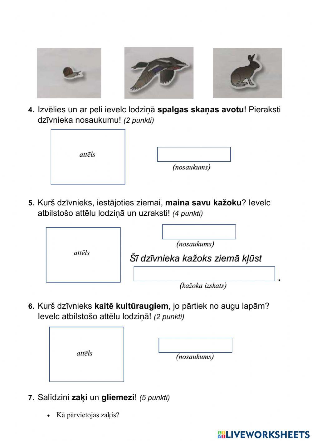 Noslēguma pārbaudes darbs dabaszinībās