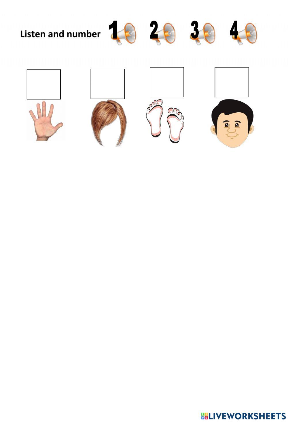 English test Body parts