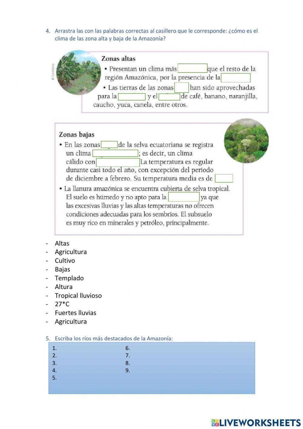 Prueba: Hidrografía, clima y recursos naturales y económicos de la Amazonía