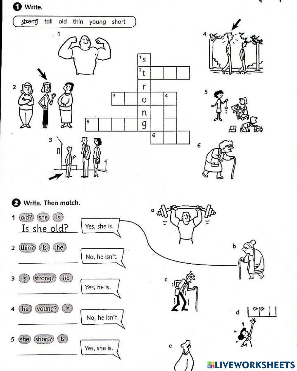 He-She is... | Free Interactive Worksheets | 997067