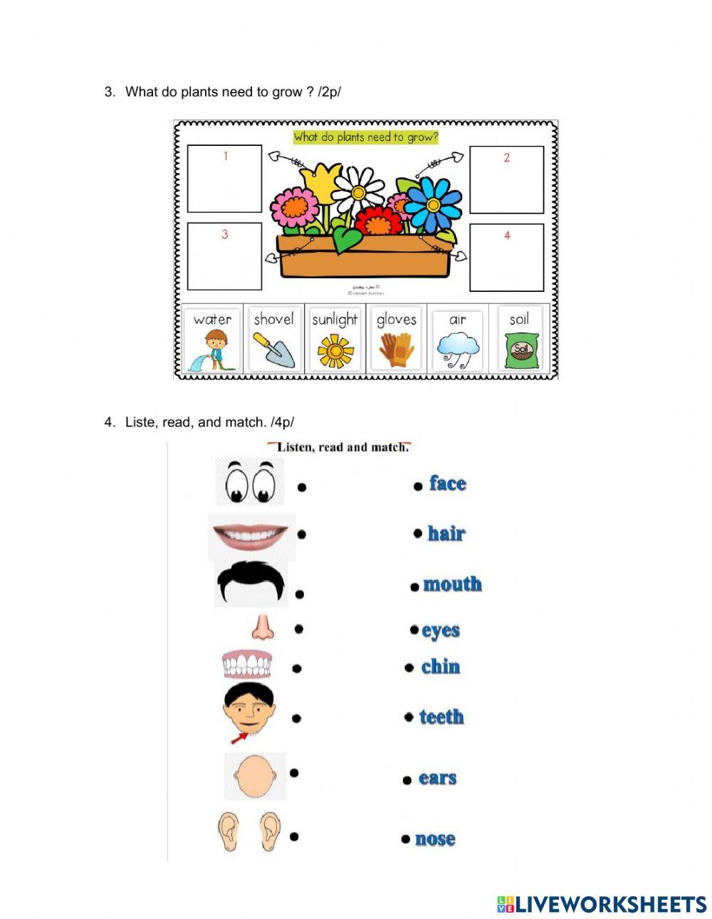 997195 | 1-grade-science | science exam | LiveWorksheets