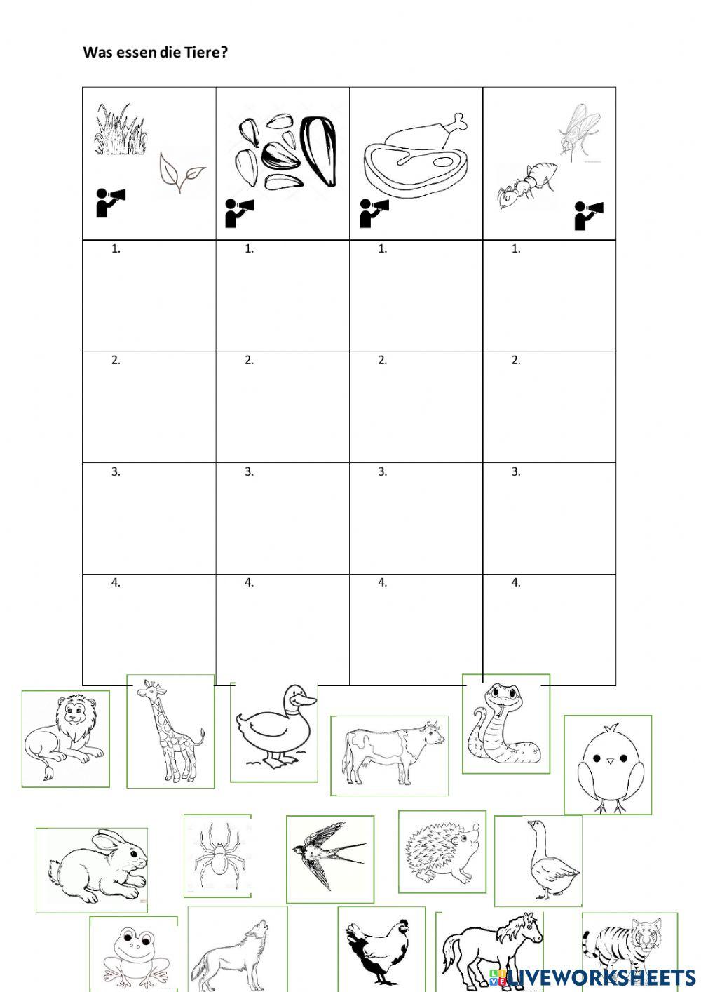Was essen die Tiere?