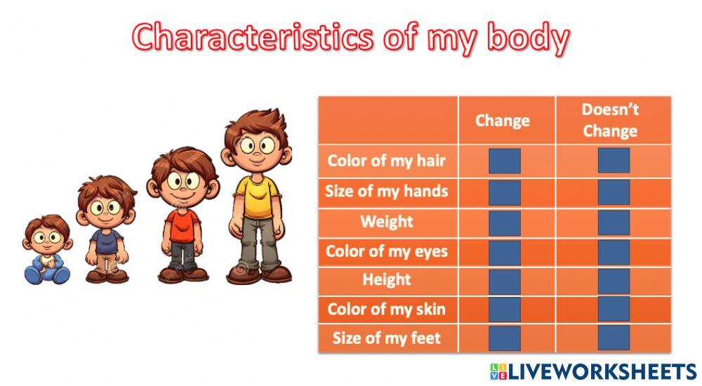 Characteristics of my body