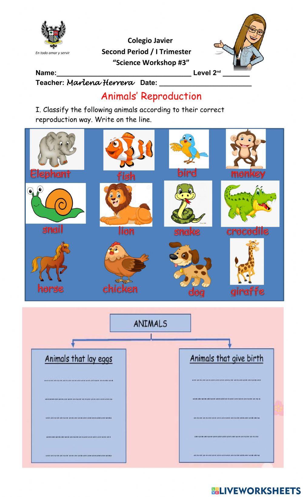 Animals' Reproduction