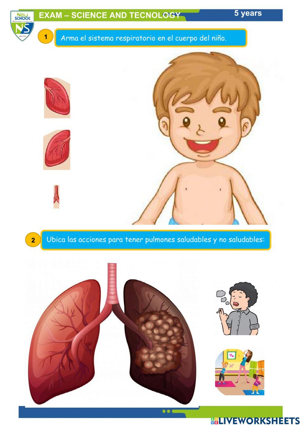 Ciencia y tecnología