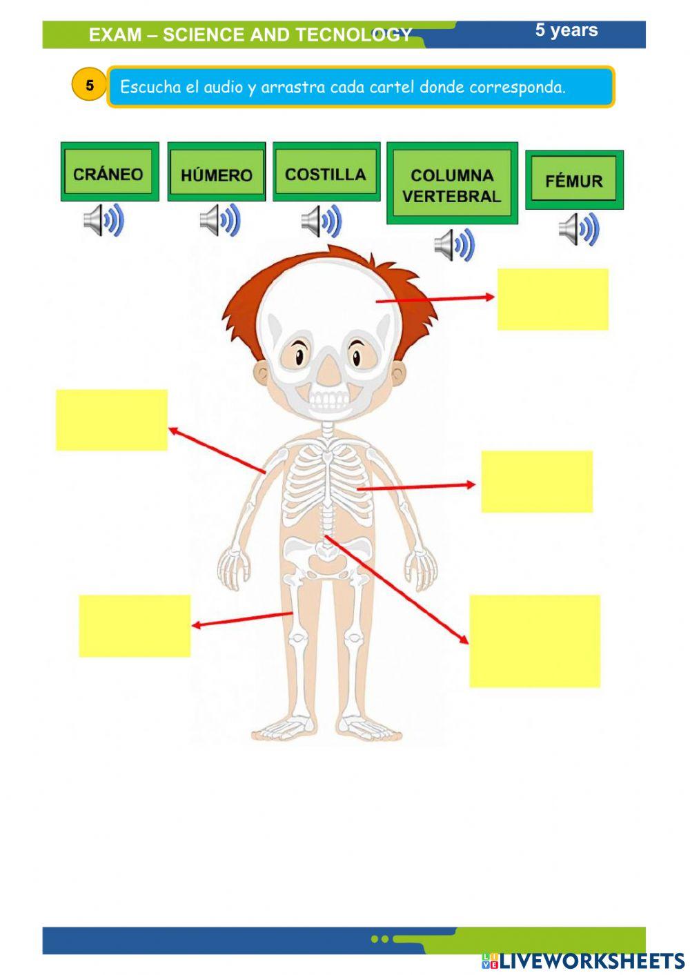 Ciencia y tecnología