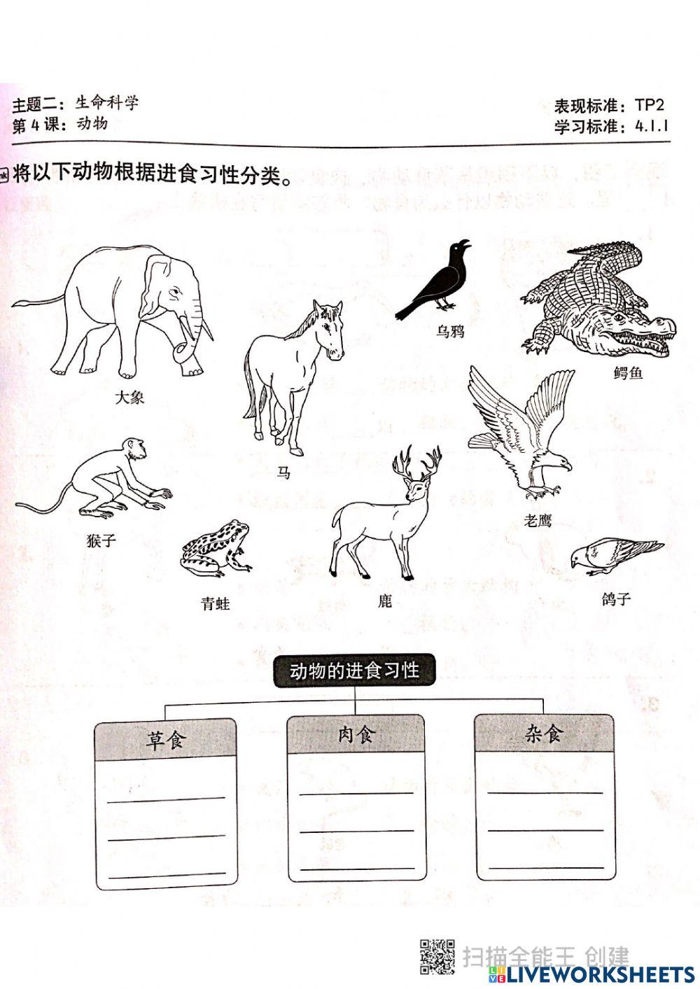 动物的进食习惯