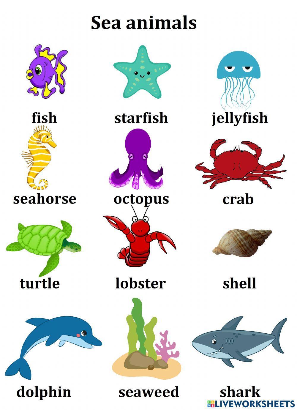 Sea animals