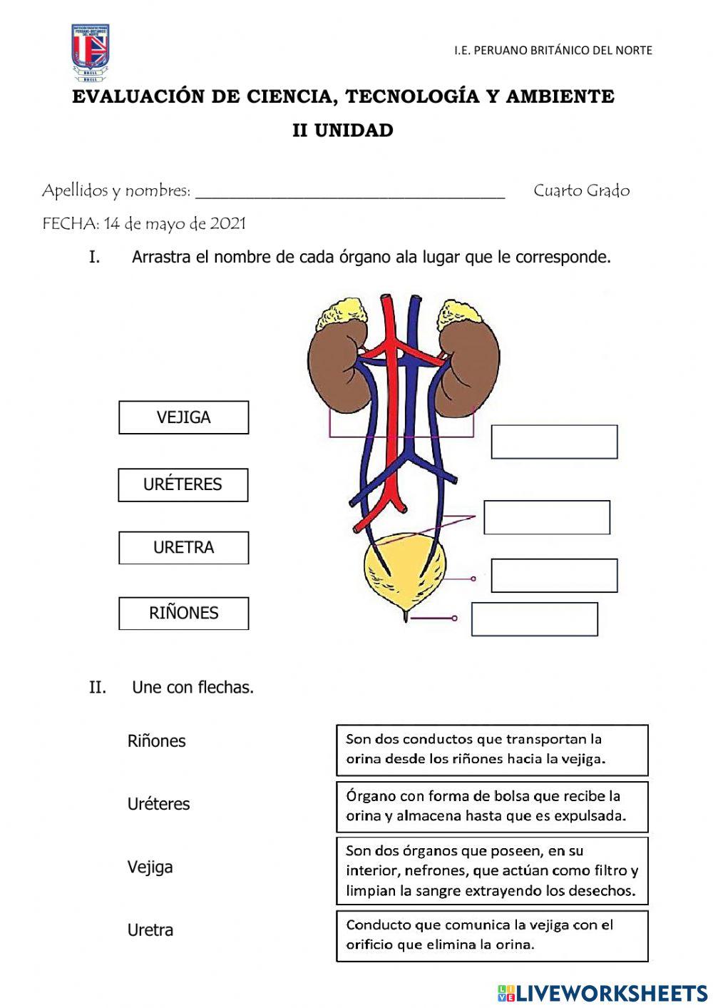 Evaluación de Ciencia