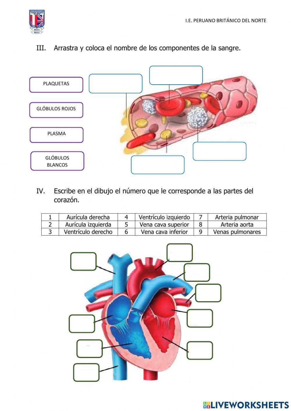 Evaluación de Ciencia
