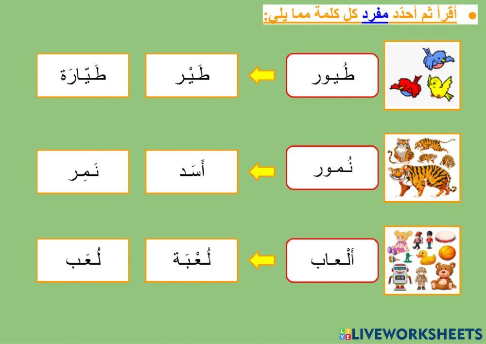 المفرد والجمع - ٢