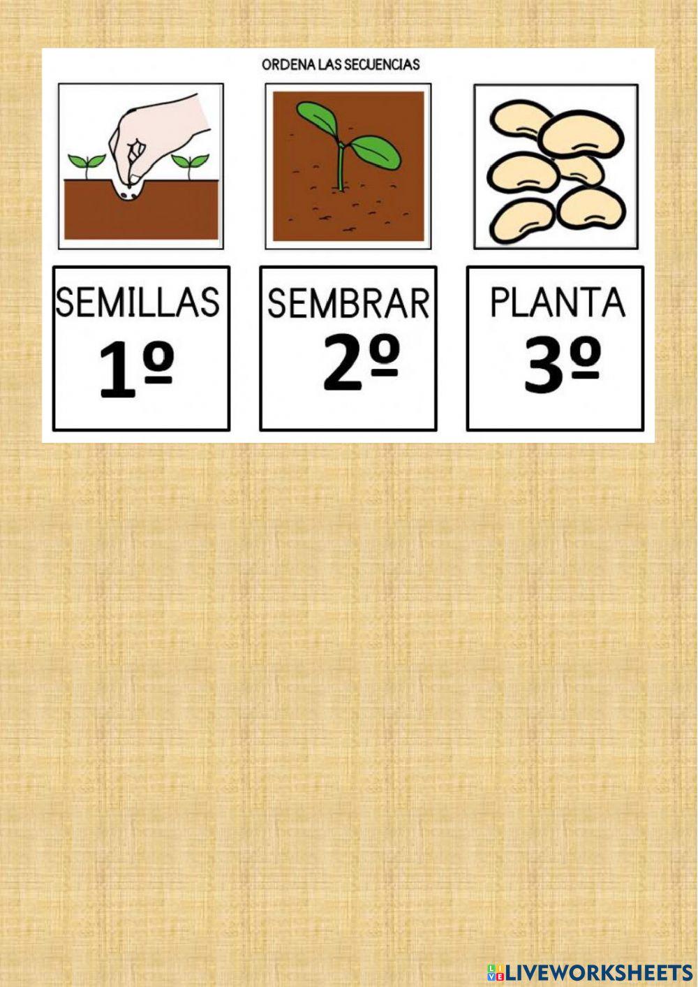 Estados de la maeria