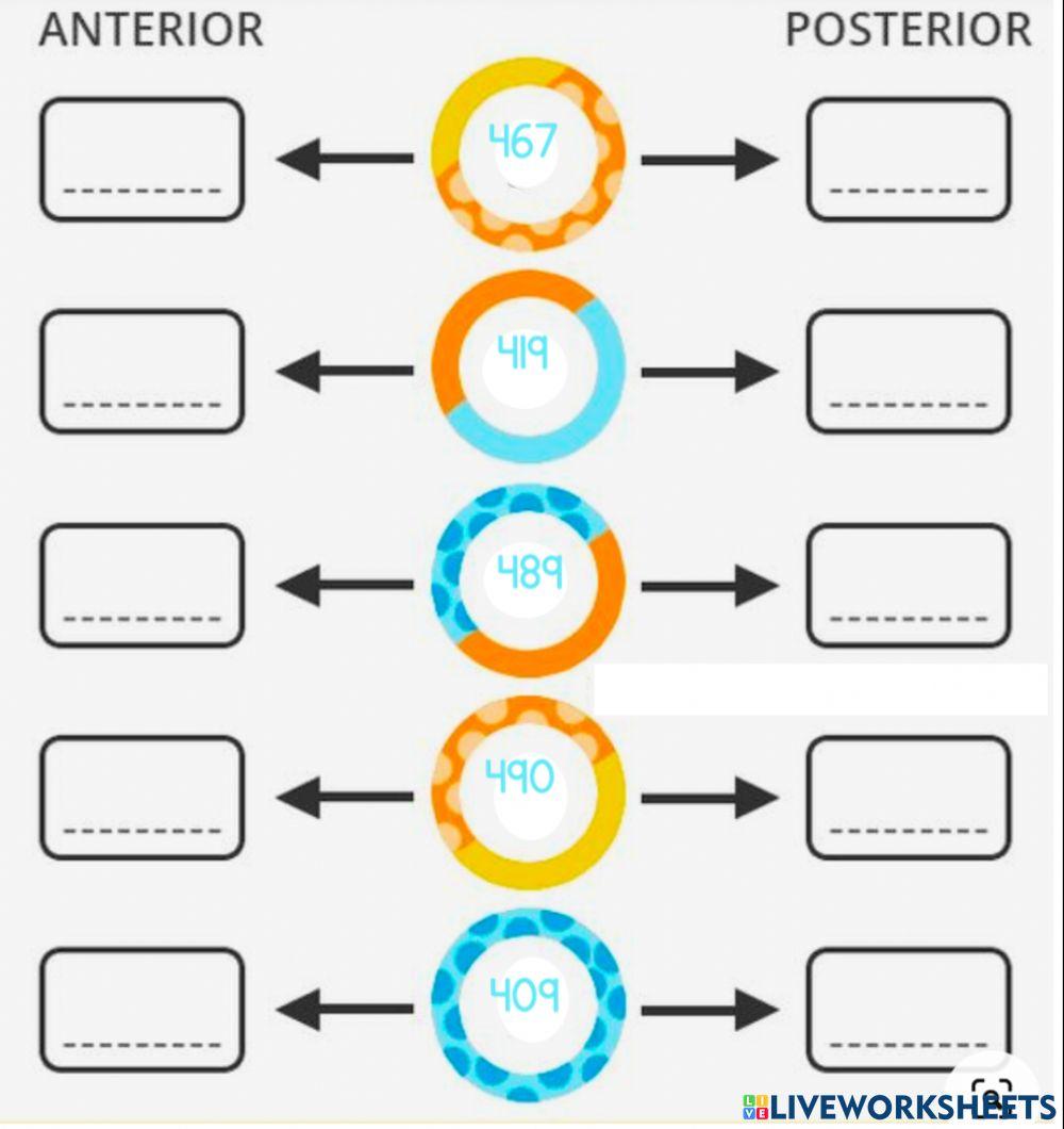 Numero anterior y posterior