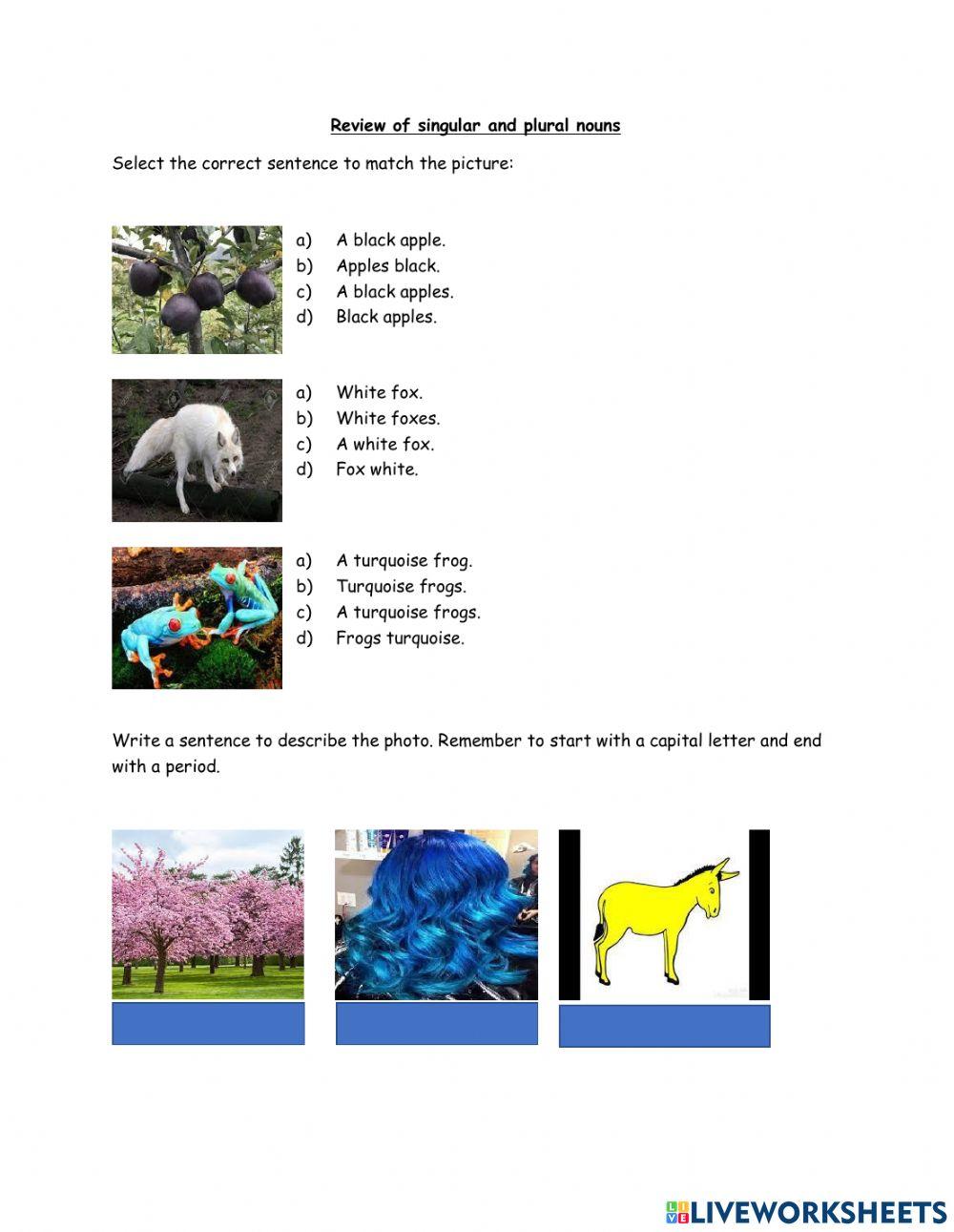 Singular and plural nouns review.