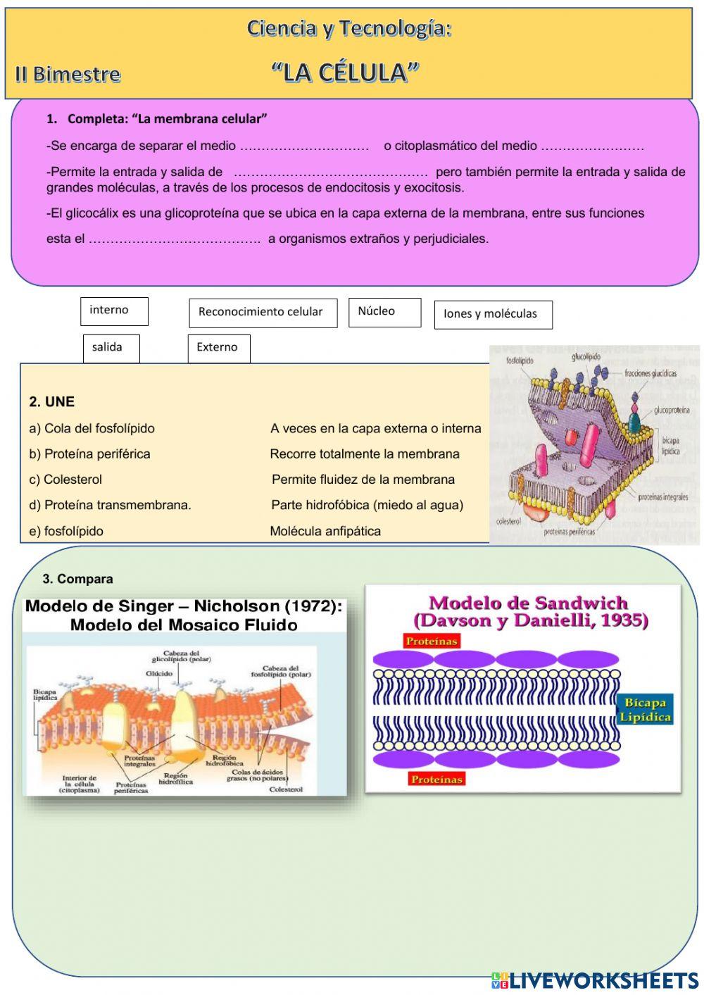 Ciencia y Tecnología 