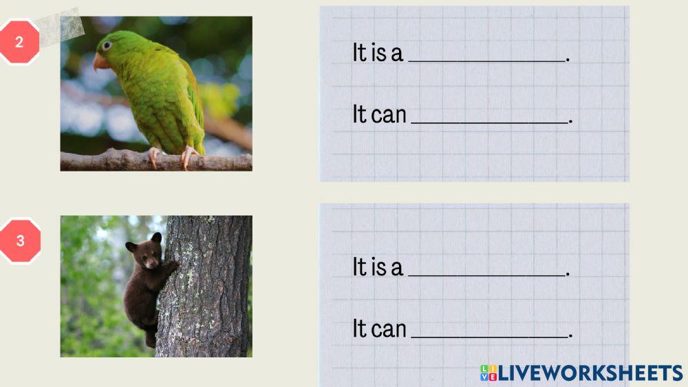 Animals and their abilities