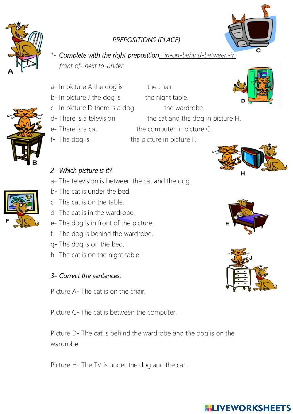 Prepositions pl Free Interactive Worksheets 1001171