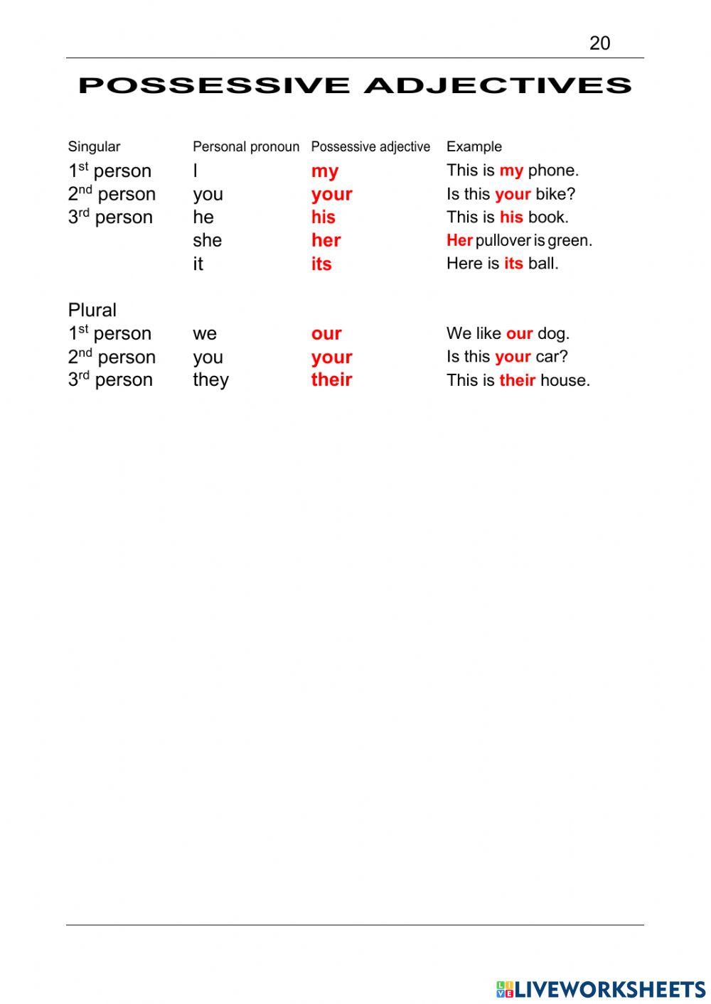 Lt-possessive adjectives