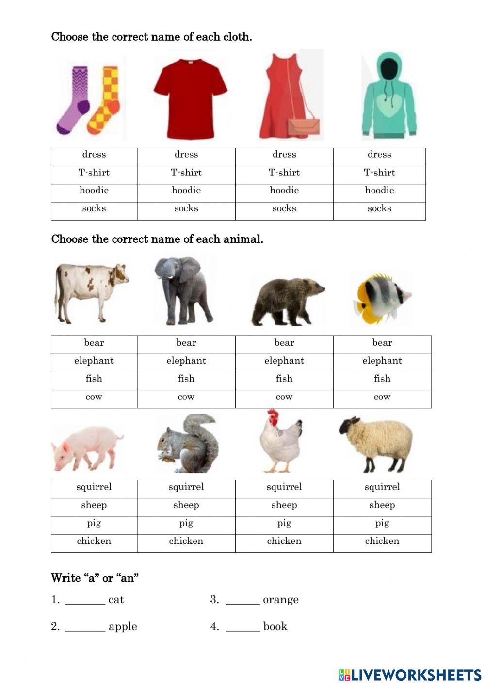 Phonics Infantil examen 3