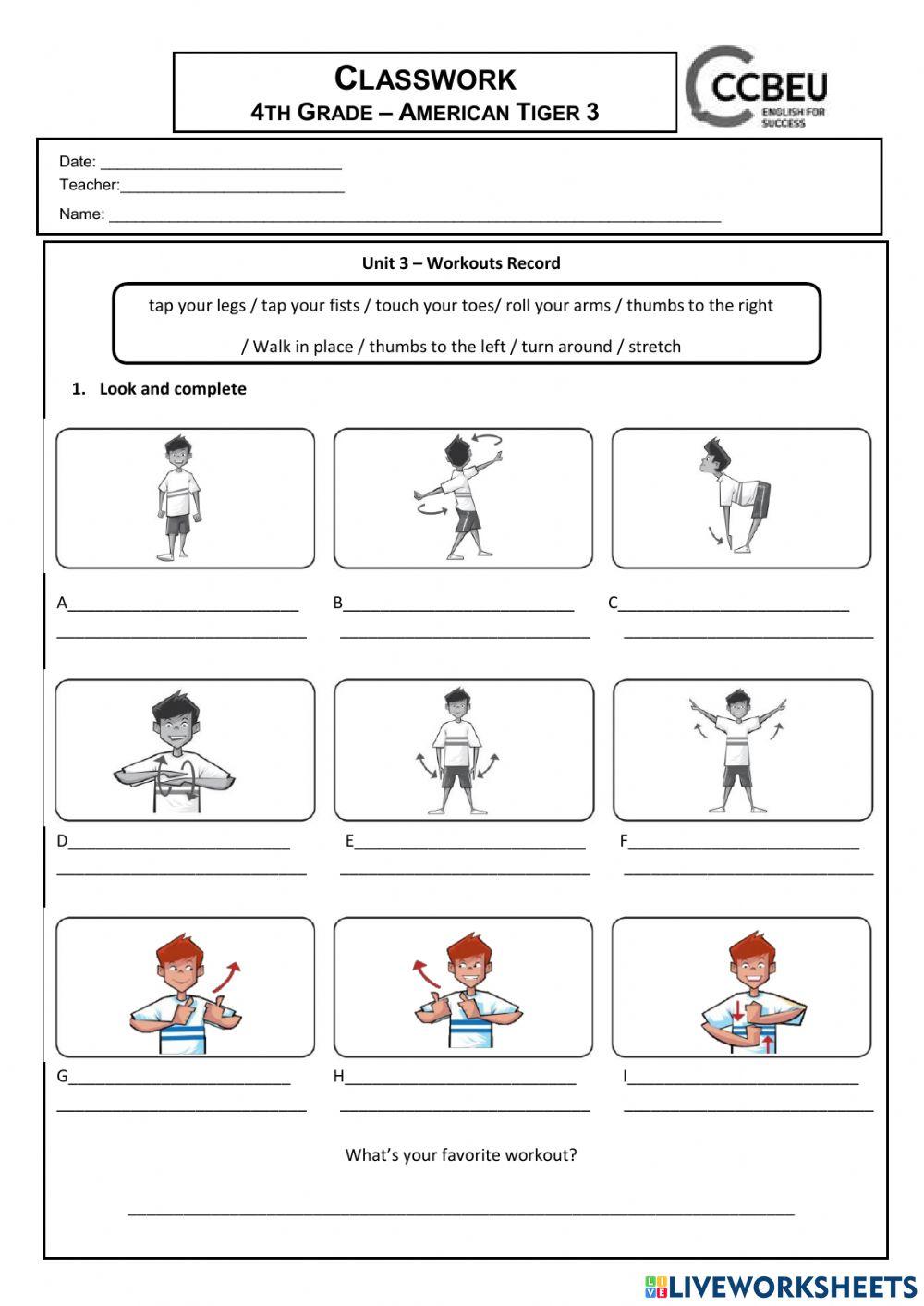American Tiger 3 - U3- Workouts