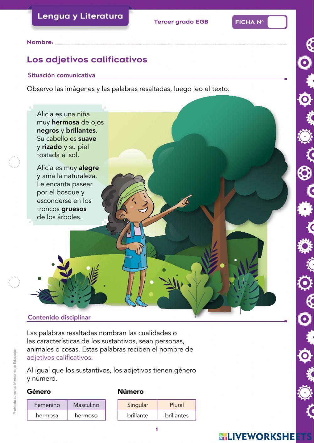 Adjetivos calificativos