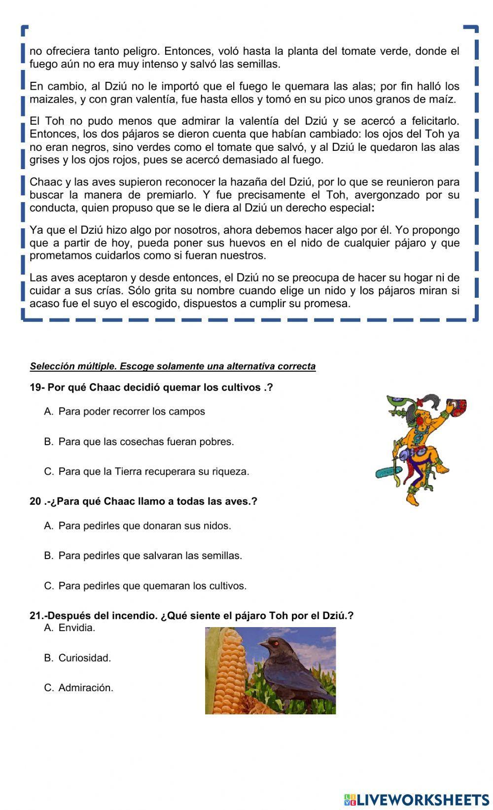 Lecturas comprensivas