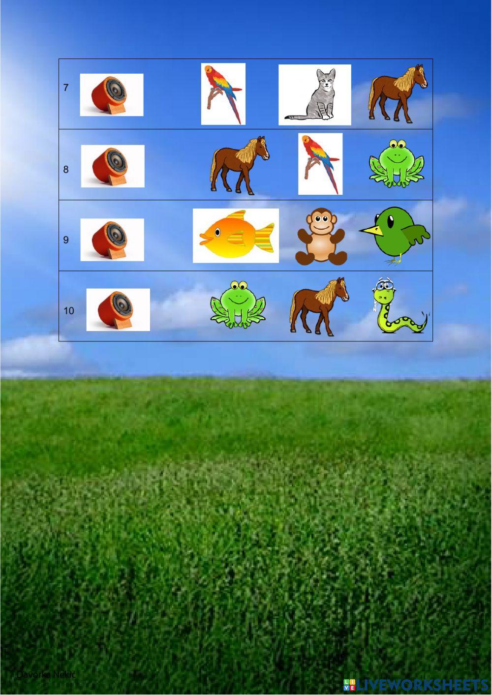 What can animals do?