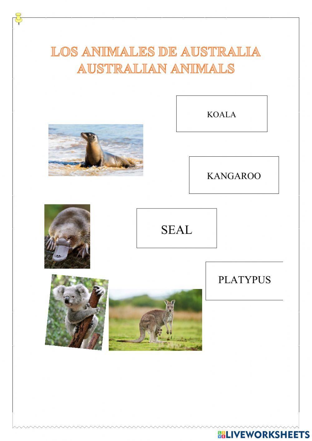 Los animales australianos