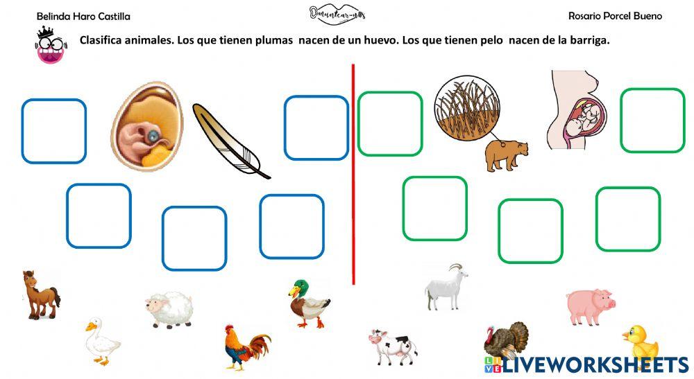 Clasifica: ovíparos y vivíparos