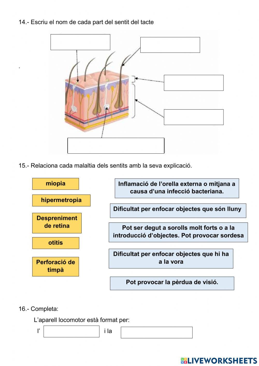 La funció de relació