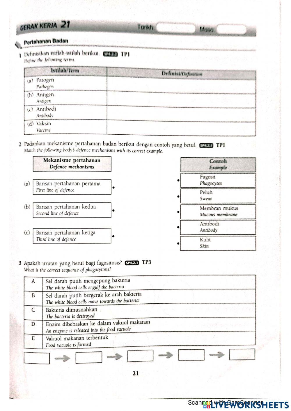 Bab 4:Kesihatan Manusia