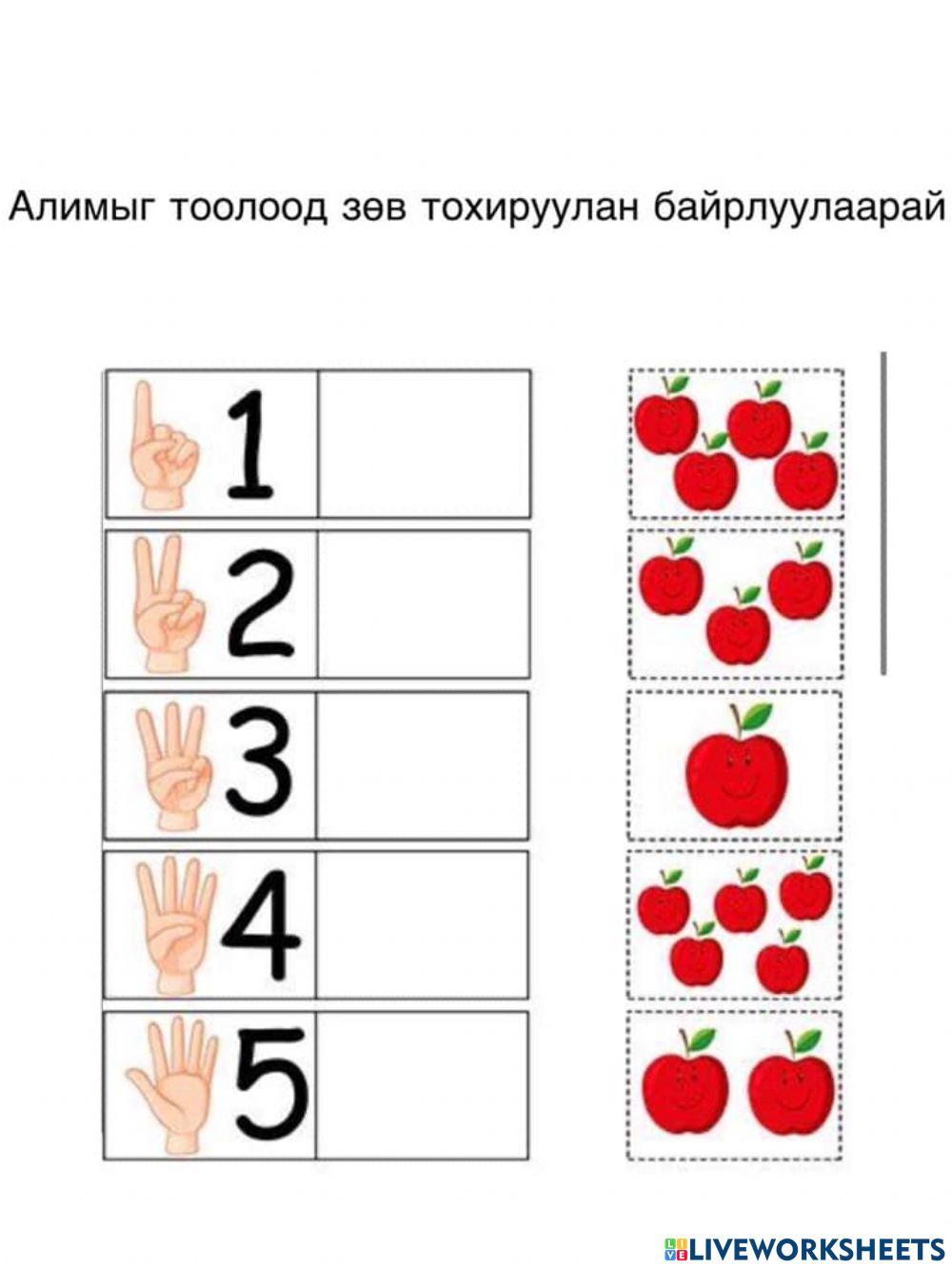 Тоо тоолол activity | Live Worksheets