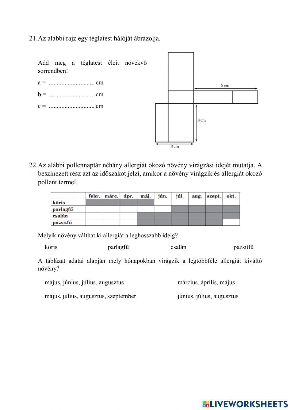 Kompetenciamérés 6. évfolyam 2004.1