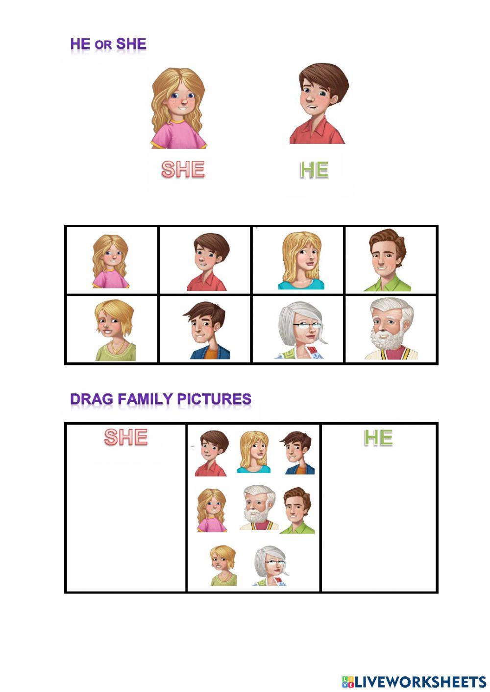 He or she - family He or she - family